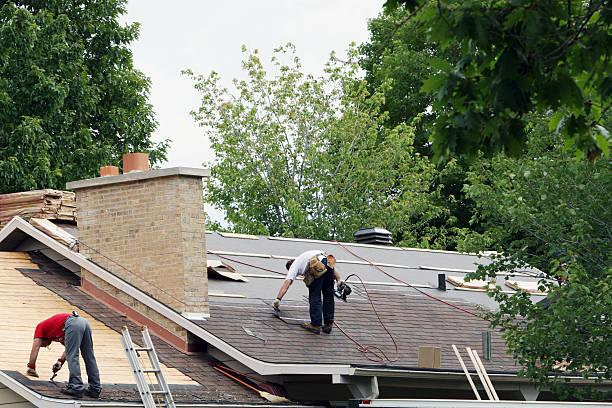 Best Roof Gutter Cleaning  in Boyce, LA
